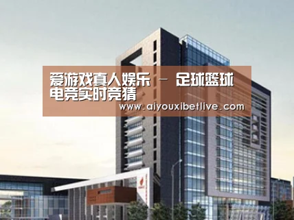 案例展示七