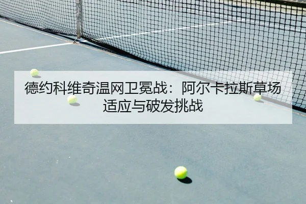de-yue-ke-wei-qi-wen-wang-wei-mian-zhan-a-er-ka-la-si-cao-chang-shi-ying-yu-po-fa-tiao-zhan-2-439.jpg