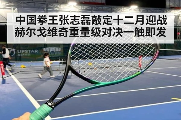 中国拳王张志磊敲定十二月迎战赫尔戈维奇重量级对决一触即发